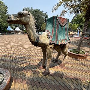 Camel Statue