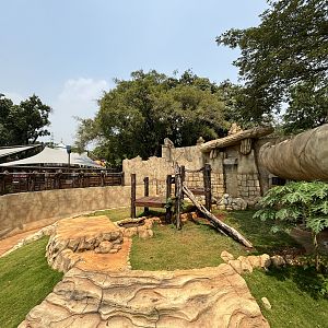 Sun Bear Exhibit - New in 2023