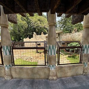 Sun Bear Exhibit - New in 2023