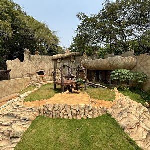 Sun Bear Exhibit - New in 2023