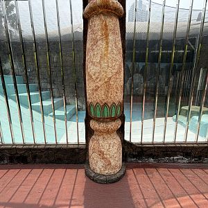 South American Sea Lion Exhibit