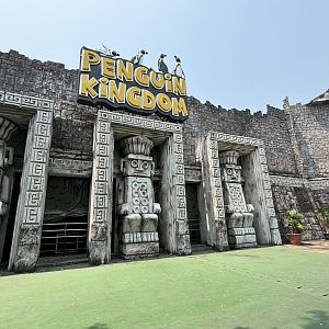 Penguin Kingdom - enormous!