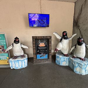Penguin Statues - Penguin Kingdom