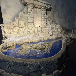 Touch Tank - Penguin Kingdom