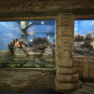 Small-clawed Otter Exhibit - Penguin Kingdom