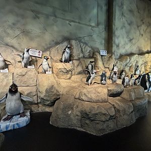 Penguin Statues - Penguin Kingdom
