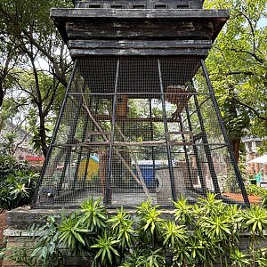 Eclectus Parrot Aviary - formerly Yellow-crested Cockatoo Aviary