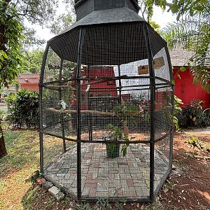 Bali Myna Aviary