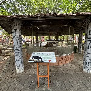 Binturong Exhibit