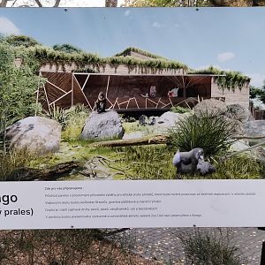 New Mandrill habitat plan