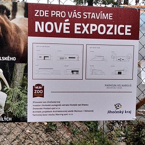 Future plans for Prezewalski's horse and pelicans