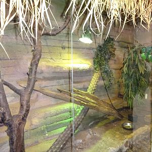 Helsingborg Djurpark - Reptile house - Water dragon exhibit
