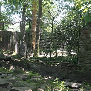 European wolverine holding/separation area, 2024-06-08