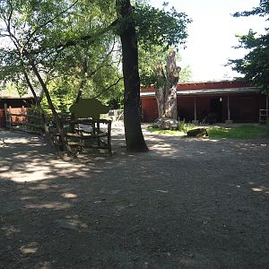 Farm area - Alpaca paddock,2024-06-08