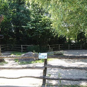 Farm area - Alpaca paddock, 2024-06-08