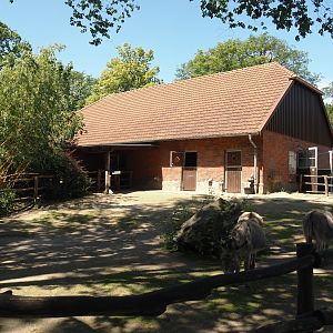 Farm area - Miniature donkey paddock, 2024-06-08