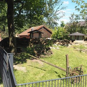 Farm area - Meißner Widderkaninchen/Meissner lop rabbit exhibit with tunnel for children, 2024-06-08