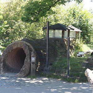 Farm area - Meißner Widderkaninchen/Meissner lop rabbit exhibit with tunnel for children, 2024-06-08