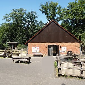 Farm area - Cattle and pig barn and paddocks, 2024-06-08