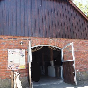 Farm area - Donkey and pig barn, 2024-06-08