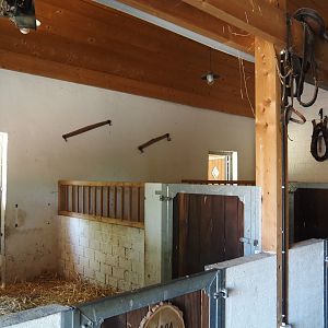 Farm area - Donkey stalls, 2024-06-08