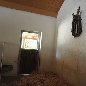 Farm area - Cattle stall, 2024-06-08