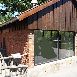 Farm area - Chicken and guinea pig barn, side with indoor housing for guinea pigs, 2024-06-08