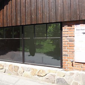Farm area - Chicken and guinea pig barn, side with chicken coop, 2024-06-08