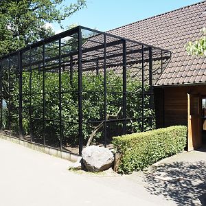 Farm area - Barn with pheasant aviary, exhibition, viewing area over city, barn owl exhibit and budgie aviary, 2024-06-08