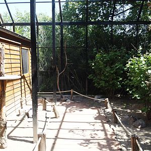 Farm area - Budgerigar walk-through aviary, 2024-06-08