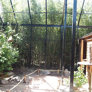 Farm area - Budgerigar walk-through aviary, 2024-06-08