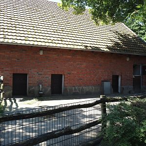 Farm area - Kune-kune pig paddock, 2024-06-08