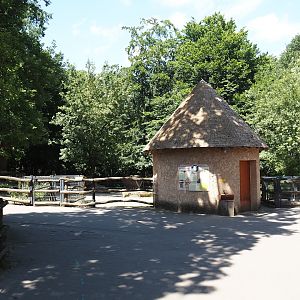 Farm area - Pygmy goat and Cameroon sheep paddock and barn, 2024-06-08