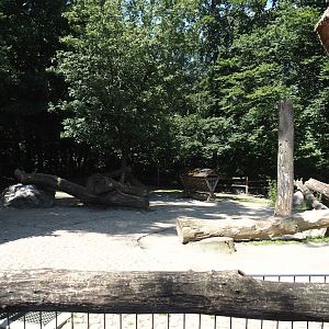 Farm area - Pygmy goat and Cameroon sheep paddock, 2024-06-08