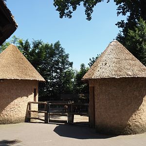Farm area - Pygmy goat and Cameroon sheep separation paddock and barns, 2024-06-08