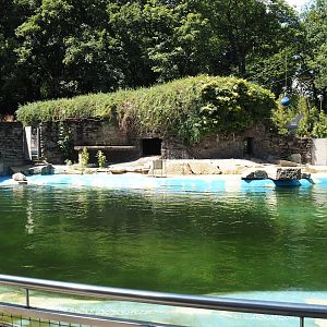 California sea lion exhibit, 2024-06-08