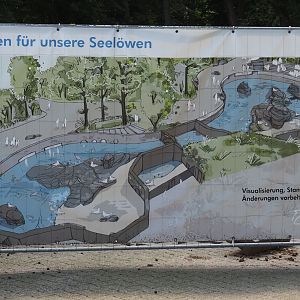 Design for new California sea lion exhibit, 2024-06-08