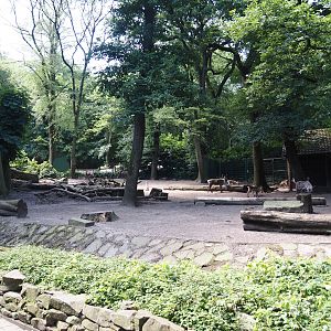 Domestic reindeer exhibit, 2024-06-08