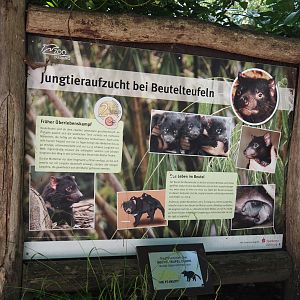 Tasmanian devil reproduction signage, 2024-06-08