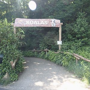 Access road to koala hous, 2024-06-08