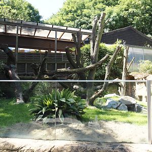 Common wombat exhibit, 2024-06-08