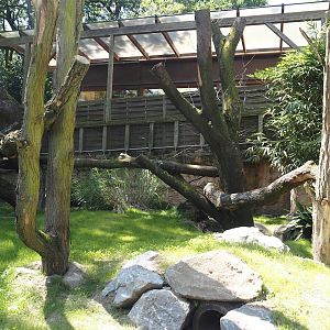 Common wombat exhibit, 2024-06-08