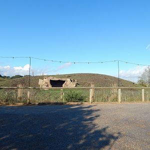 Simien Mountains - Gelada habitat 121024