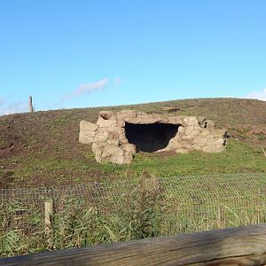 Simien Mountains - Gelada habitat 121024