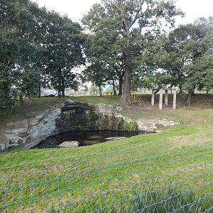 Land of the Tiger - Siberian tiger habitat 121024