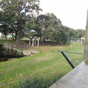 Land of the Tiger - Siberian tiger habitat 121024