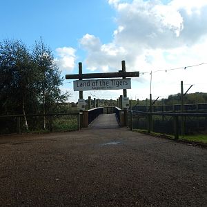 Land of the Tiger 121024