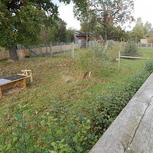 Into Africa - Kirk's dik-dik habitat 121024