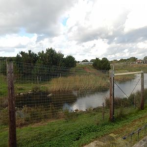 Project Polar habitat 121024