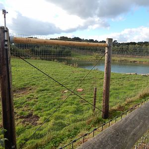 Project Polar habitat 121024